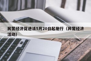民营经济促进法5月20日起施行（民营经济活动）