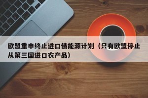 欧盟重申终止进口俄能源计划（只有欧盟停止从第三国进口农产品）