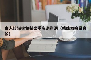 主人给猫咪复刻出重庆洪崖洞（感康为啥是臭的）
