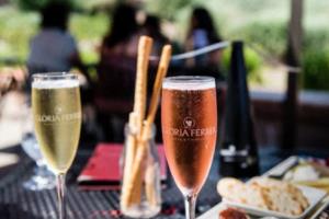 兵兵球赛程全解析，一场充满激情与智慧的体育盛宴男子世界杯兵兵球赛程